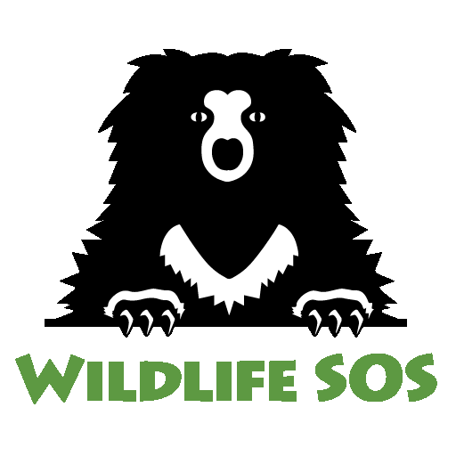 Wildlife SOS